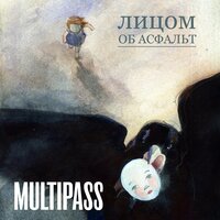 Стаи птиц разбиты в стекла - MULTIPASS