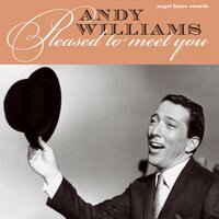 The Most Wonderful Time of the Year - Andy Williams