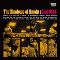 Darkside - The Shadows Of Knight