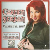 Esti picatura de apa in desertul meu - Carmen Serban
