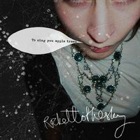 On Cherry Tree Song - Rockettothesky