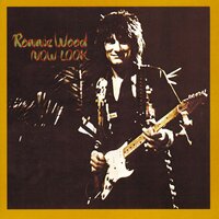 Big Bayou - Ronnie Wood