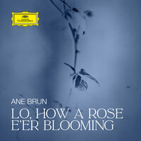 Lo, How a Rose E'er Blooming - Ane Brun, Михаэль Преториус