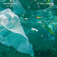 Into the Shape of Your Heart - Wintersleep