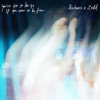 You've Got To Let Go If You Want To Be Free - Disclosure, Zedd