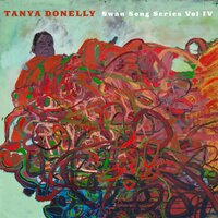 Salt - Tanya Donelly