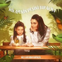 Hikayenin Peşini Bırakma - Nil Karaibrahimgil