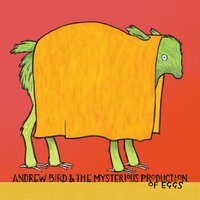 Fake Palindromes - Andrew Bird