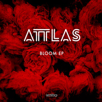 Colors - ATTLAS, Kye Sones