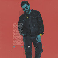 КАРАТ - MriD