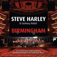 Sling It! - Steve Harley, Cockney Rebel