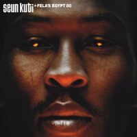Mosquito Song - Seun Kuti