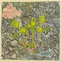 Sonic Bloom - The Polyphonic Spree