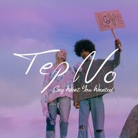 Say What You Wanted - Tep No