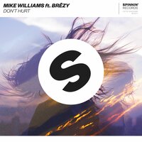 Don't Hurt - Mike Williams, Brezy