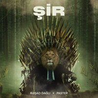 Şir - Paster