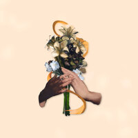 they/them - jhfly