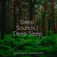 Gentle Sleep Music - Meditation Awareness, Natural Sound Makers, Study Concentration
