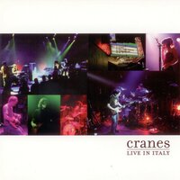 Cranes