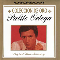 Que vas a hacer esta noche - Palito Ortega
