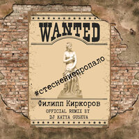 Стеснение пропало - Филипп Киркоров, Dj Katya Guseva
