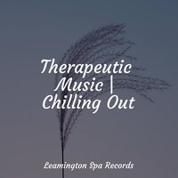 Gentle Sleep Music - Rain Sounds ACE, Sleep Songs with Nature Sounds, Nature Sounds