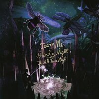 Blind as Night - Team Me