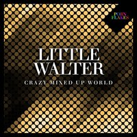 Sloppy Drunk - Little Walter, Muddy Waters