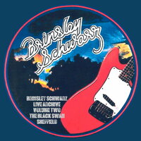 What's so Funny 'Bout (Peace Love and Understanding) - Brinsley Schwarz
