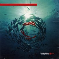 Кукла - Чичерина