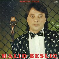 Mostovi Tuge - Halid Beslic