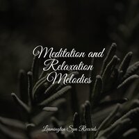 Deep Sleep - Nature Sounds Nature Music, Calm Down, The Sleep Specialist