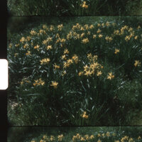 Seasons - Rhys Lewis
