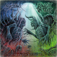 The Curse of Earth - AngelMaker