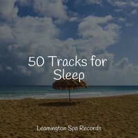 Deep Sleep - Cascada de Lluvia, Lluvia, Relaxing Mindfulness Meditation Relaxation Maestro