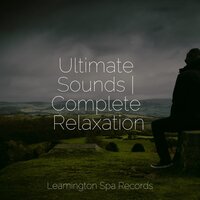 Calming Breeze - Musica Reiki, Sleep Sound Library, Meditation Relaxation Club