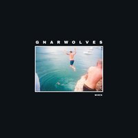 Wires - Gnarwolves
