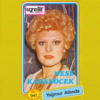 Bir Sevgi İstiyorum - Neşe Karaböcek