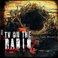 Wolf Like Me - TV On The Radio