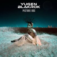 Picture Box - Yugen Blakrok