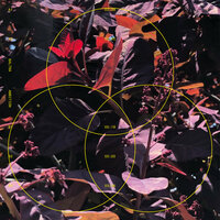 Make It B.I.G. - Baltra