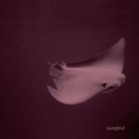 Is There Another Way Out - Ljungblut