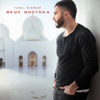 Всё прошло - Tural Everest