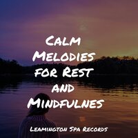 Lullaby - Natural Nature Makers, Binaural Beats, Lullaby Babies