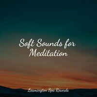 Gentle Sleep Music - Nature Sounds for Sleep and Relaxation, Sonidos de la Naturaleza Relax, Música para Massagem Especialistas