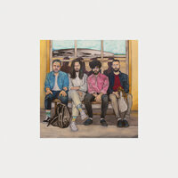Cosa ci direbbe - Fast Animals and Slow Kids, Willie Peyote