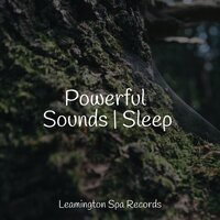 Calming Breeze - Classical Lullabies, Namaste Yoga, Rain Hard