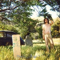 The Ballad of Bobby Pyn - Ariel Pink