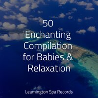 Relaxation - Healing Sounds for Deep Sleep and Relaxation, Study Power, Meditation Zen