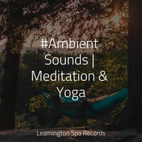 Heaven on the Keys - Kundalini: Yoga, Study Zone, Calm shores